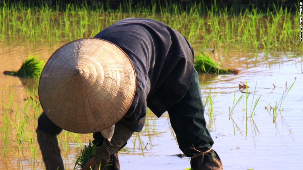 Reducing poverty through smallholder farming - CNN.com