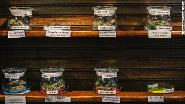 Colorado marijuana's potency getting 'higher' 