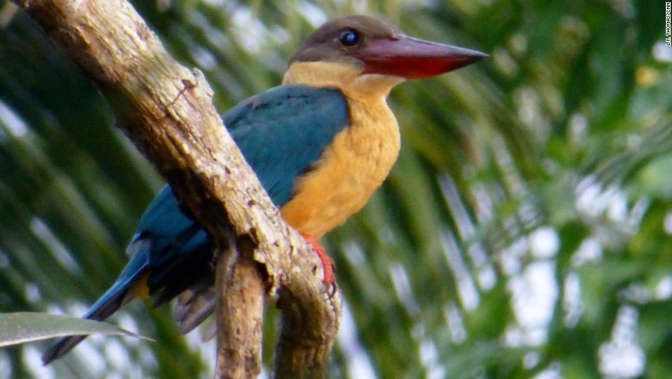 Exploring the backwaters of India's Kerala state - CNN.com