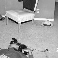 Los Angeles crime scenes in 1953