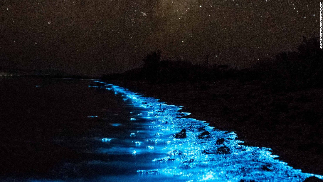150519121613-malcomson-bioluminescence-australia-irpt-6-super-169.jpg