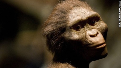 How did Lucy, our early human ancestor, die? - CNN