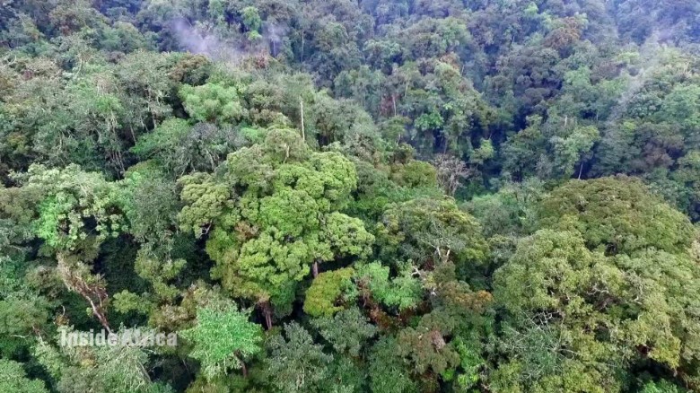 5 reasons to visit Rwanda's rainforests - CNN.com