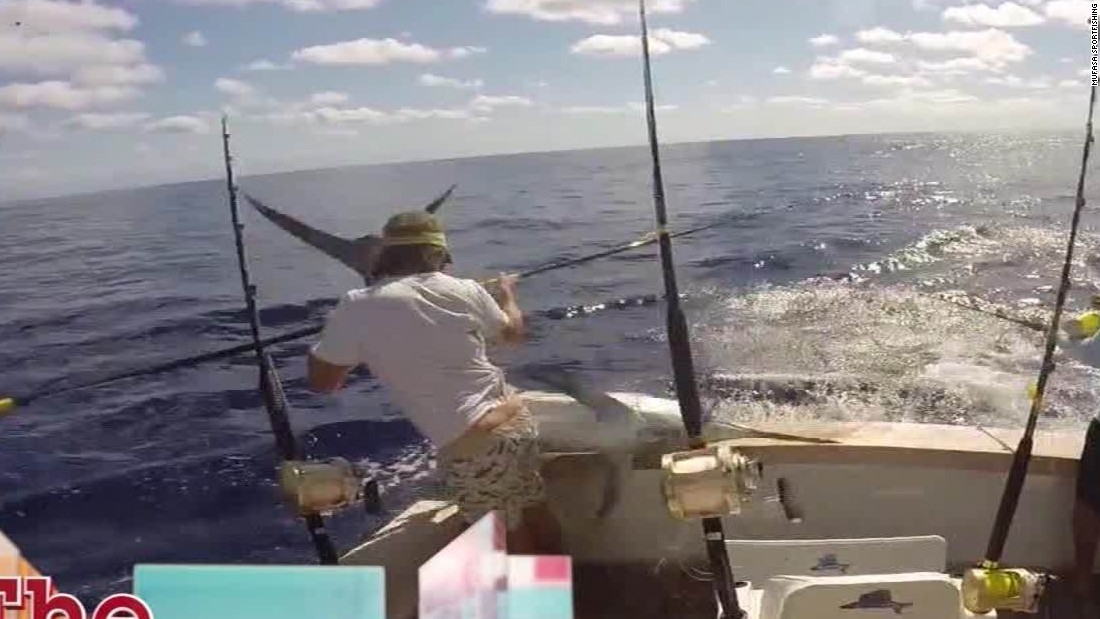 See huge marlin nearly impale fisherman - CNN Video