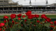 LOUISVILLE, KY - MAY 05:  Roses are seen from the winner's circle prior to the the 138th running of the Kentucky Derby at Churchill Downs on May 5, 2012 in Louisville, Kentucky.  (Photo by Jamie Squire/Getty Images)
