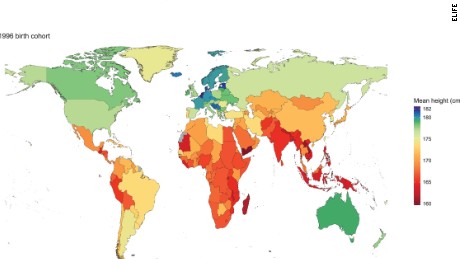 How humans have changed in height in the last 100 years - CNN