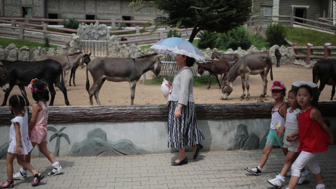A North Korean woman walks past by a Pyongyang Zoo donkey pen.