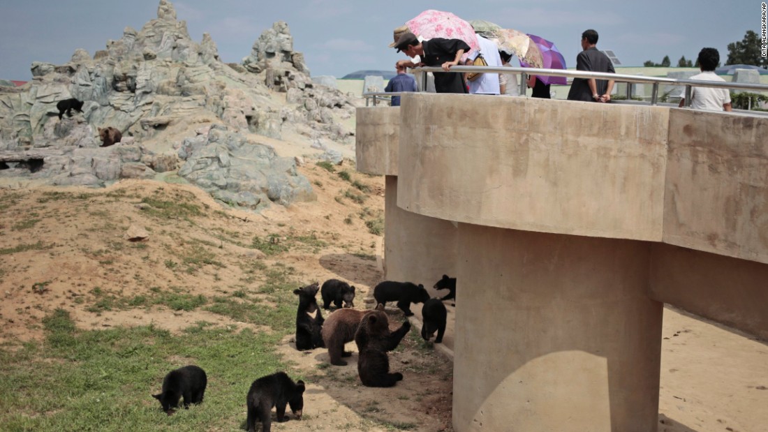 North Koreans peer down at bears at their newly opened zoo.