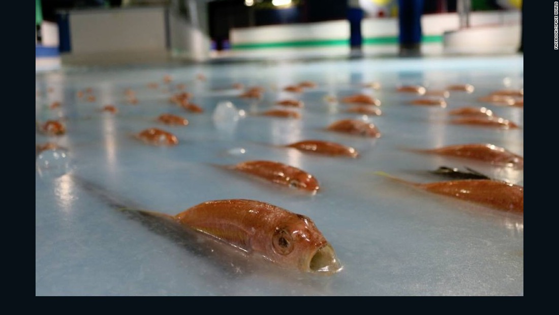 Japan's 'Space World' apologizes for freezing 5,000 fish