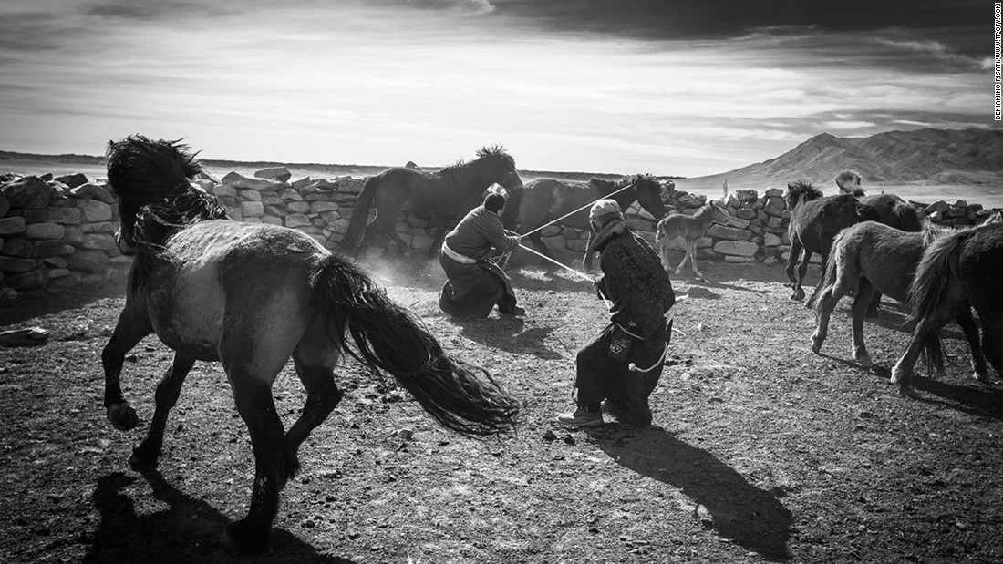 Italian photographer Beniamino Pisati was named winner in the Journeys and Adventures portfolio category for his images of Mongolian grassland owners and their relationships with wild horses.