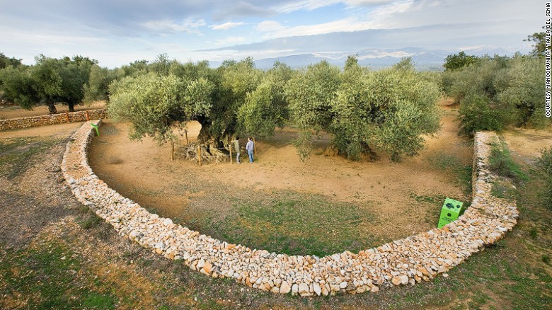 The 1,700-year-old Farga de l&#39;Arión is protected by a small fence. 