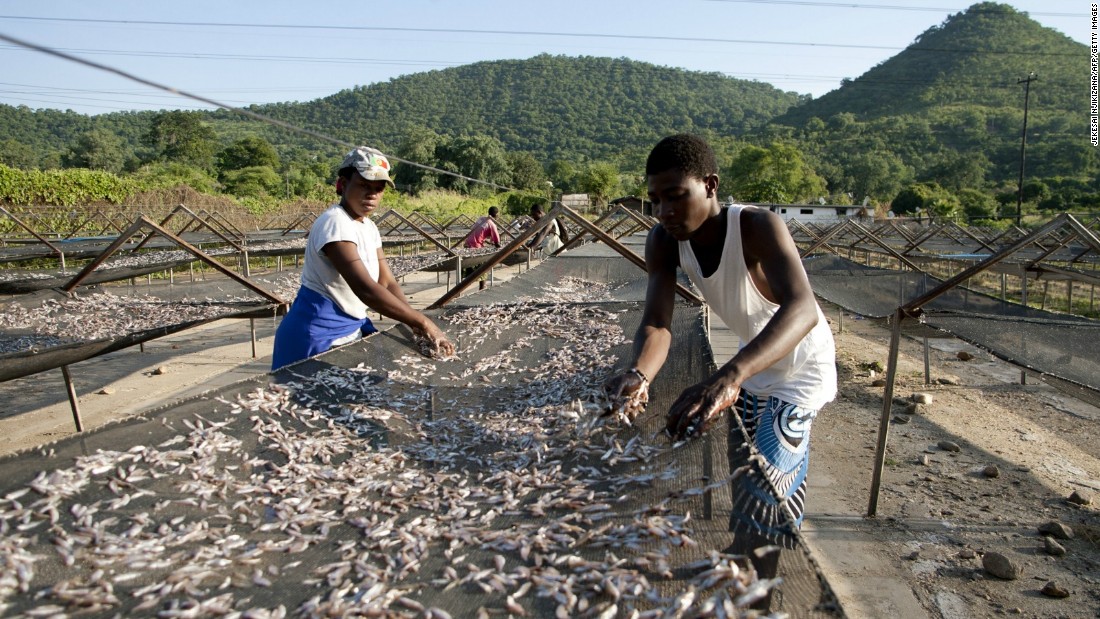 Favorite Dishes of Africa | BCNN1 - Black Christian News ...