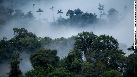 The Cloud Forest surrounding Mashpi Lodge is teeming with wildlife.