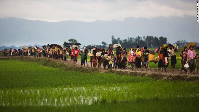 Myanmar&#39;s Rohingya ethnic minority members walk through rice fields after crossing over to the Bangladesh side of the border, Friday, Sept. 1.